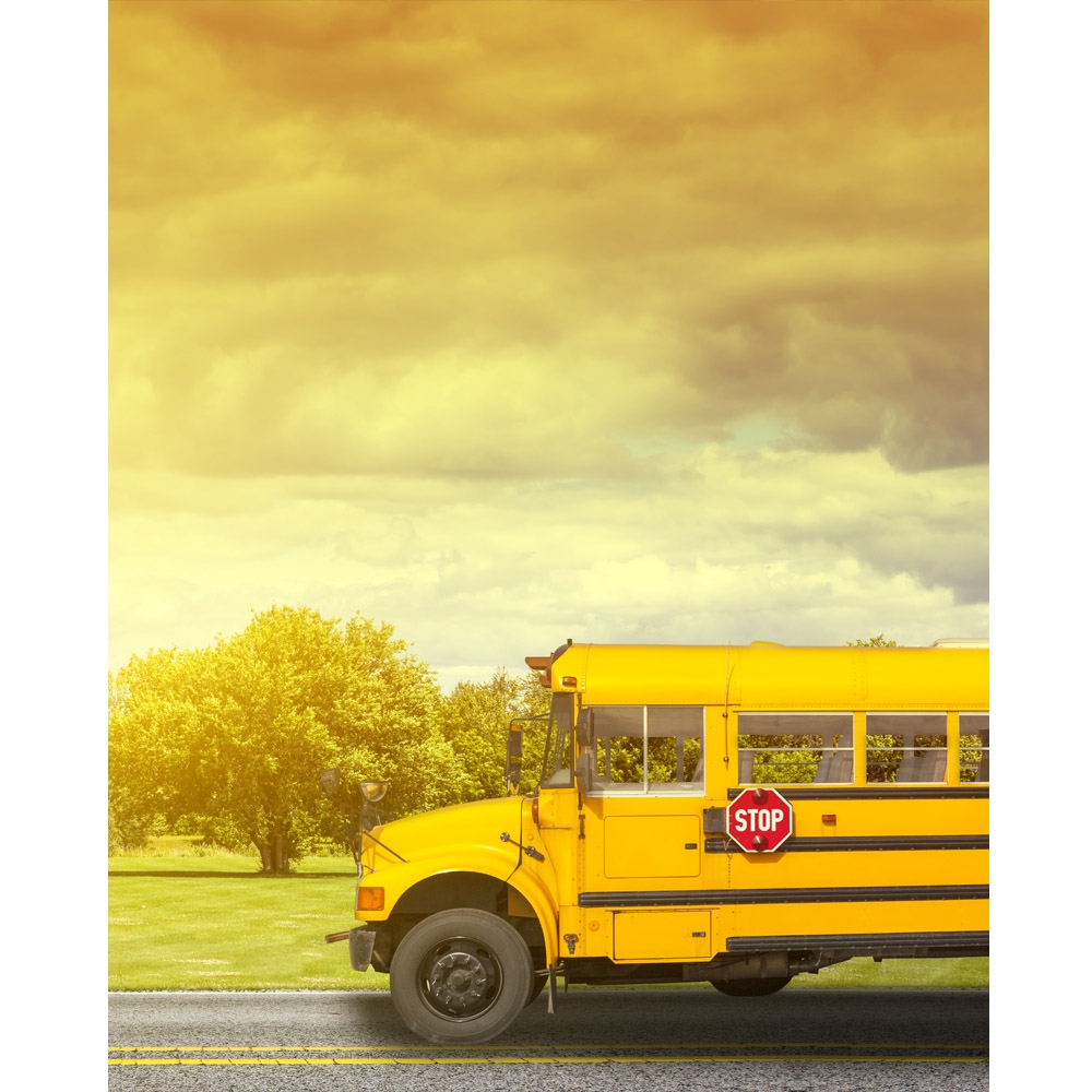 School Bus Stop Printed Backdrop Backdrop Express