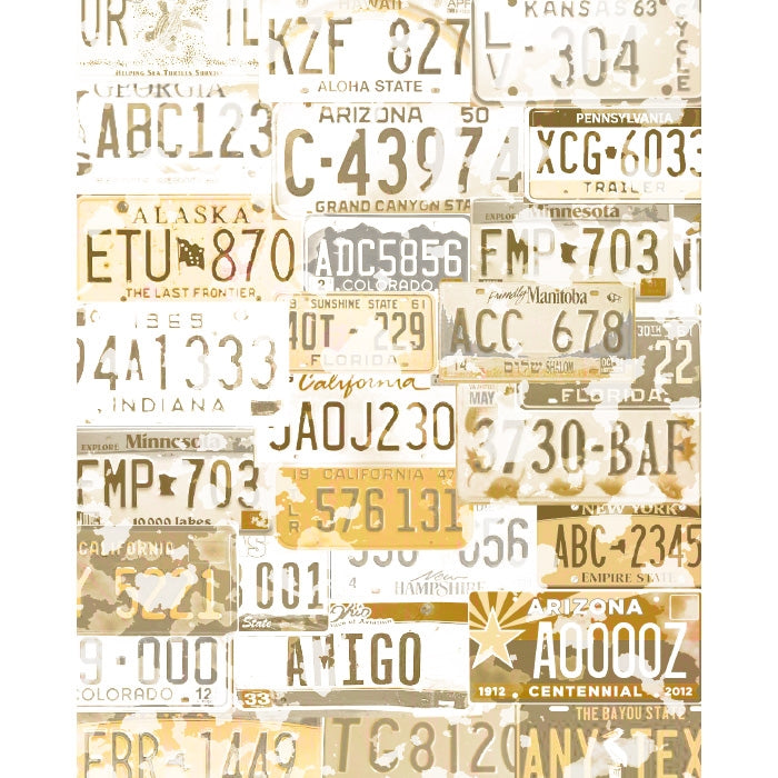 License Plates Printed Backdrop | Backdrop Express License Plates ...