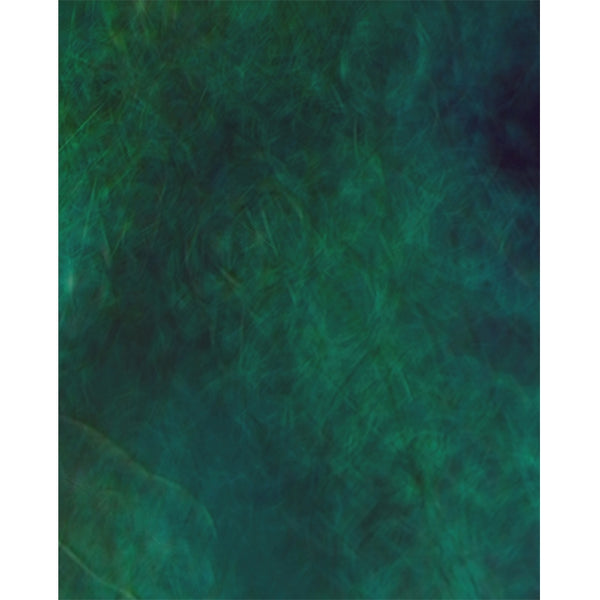 Dark Turquoise Old Masters Backdrop