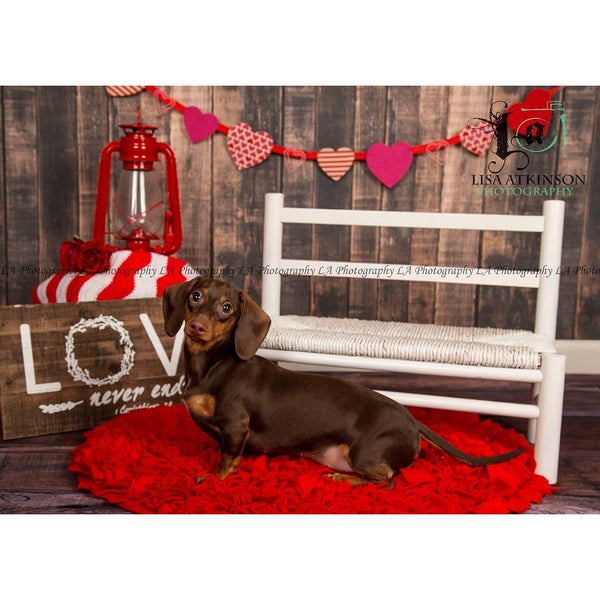 Worn Brown Planks Printed Backdrop