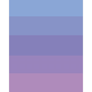 Periwinkle Ombre Printed Backdrop