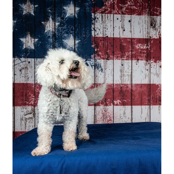 Vintage American Flag Planks Printed Backdrop