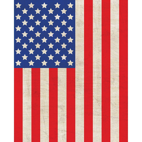 United States Flag Printed Backdrop