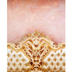 Pink Princess Headboard Printed Backdrop