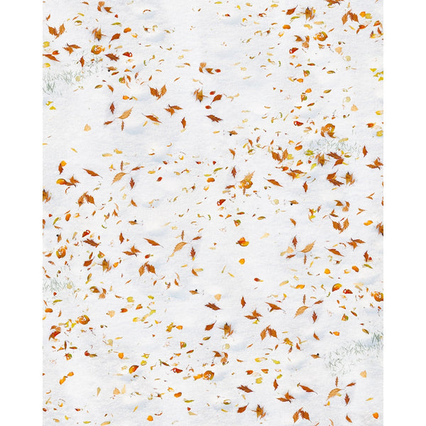 Autumn Leaves in the Snow Printed Backdrop