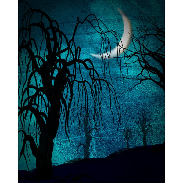 Spooky Night Printed Backdrop