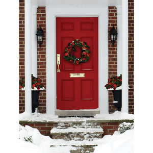 Christmas Red Door Backdrop