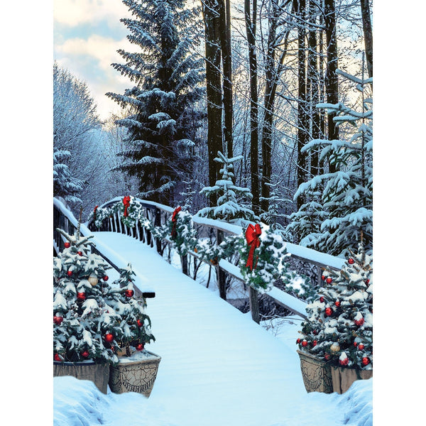 Winter Bridge Printed Backdrop