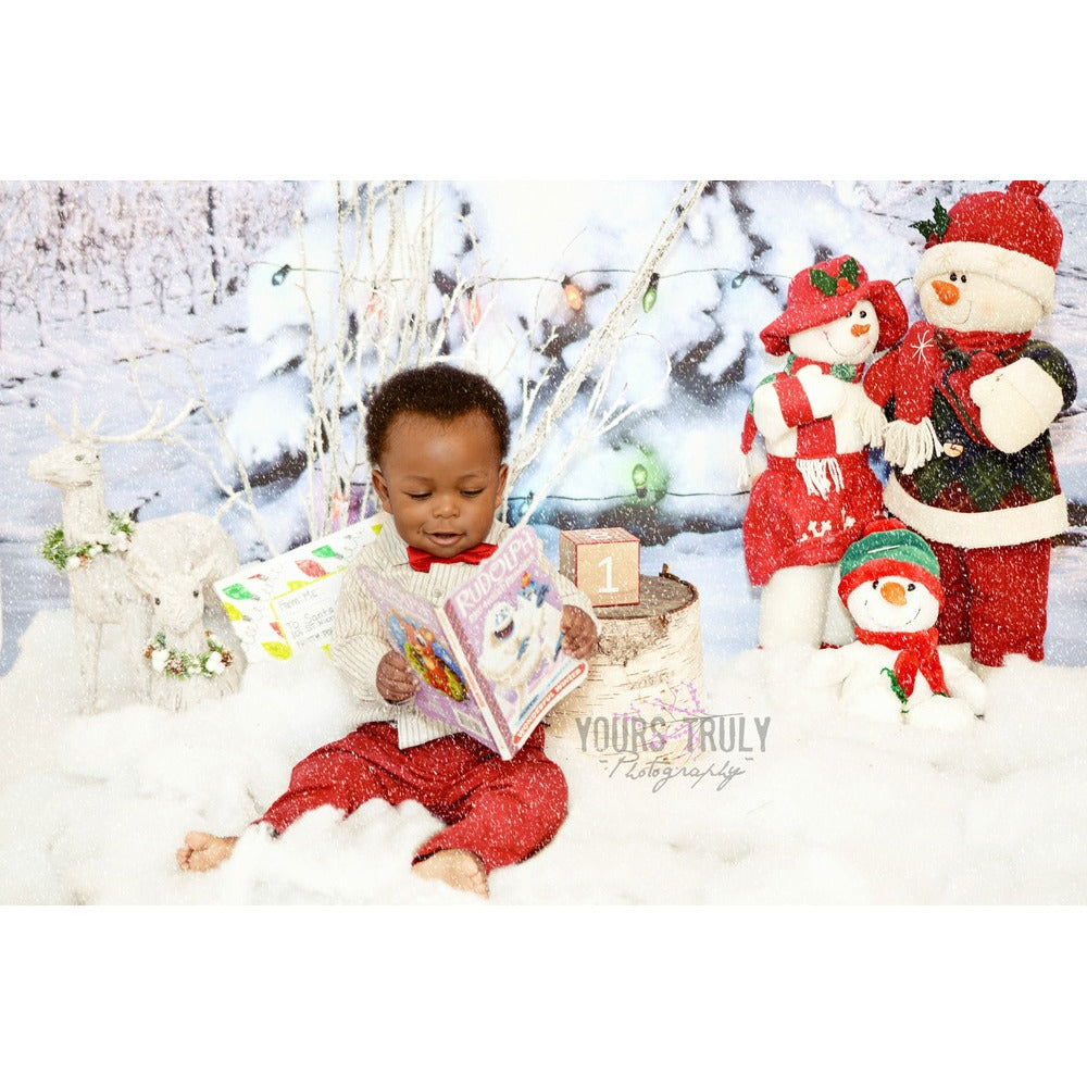 Christmas Night Printed Backdrop | Backdrop Express Christmas Night ...