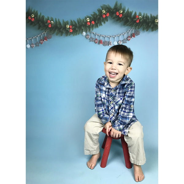 Holiday Garland Printed Backdrop