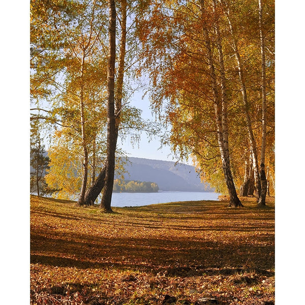 Picnic at the Lake Printed Backdrop