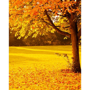 Meadow Stroll Printed Backdrop