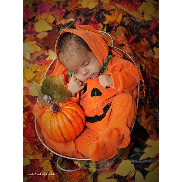 Autumn Leaves Printed Backdrop