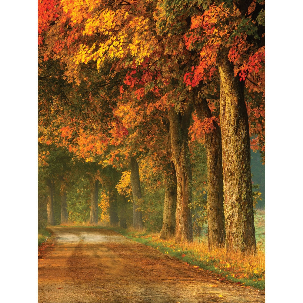 Fall Trail Printed Backdrop | Backdrop Express Fall Trail Printed ...
