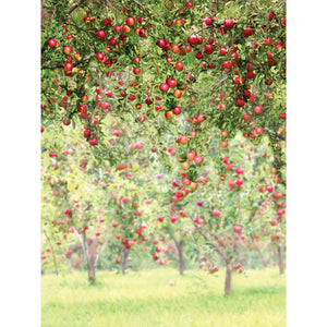 Apple Orchard Printed Backdrop