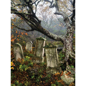 Graveyard Tree Printed Backdrop