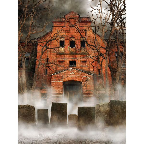 Haunted Asylum Printed Backdrop