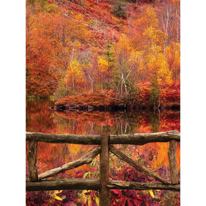 Autumn Lake Printed Backdrop