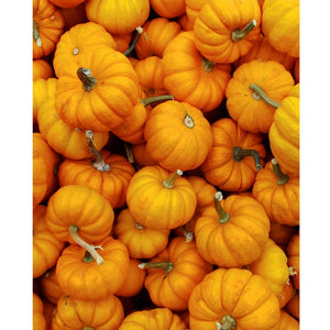 Pile of Pumpkins Printed Backdrop