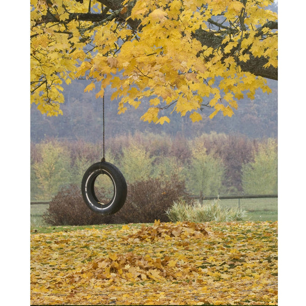 Tire Swing Printed Backdrop