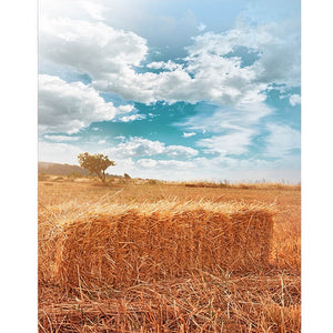 Autumn Hay Stacks Printed Backdrop