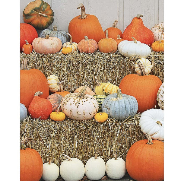 Pumpkin Wall Printed Backdrop