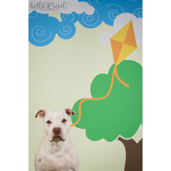 Kite Flying Poseable Printed Backdrop