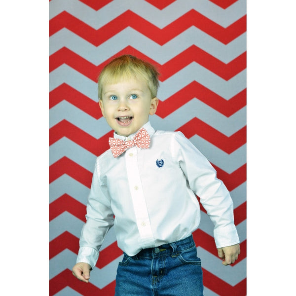 Red & White Chevron Printed Backdrop