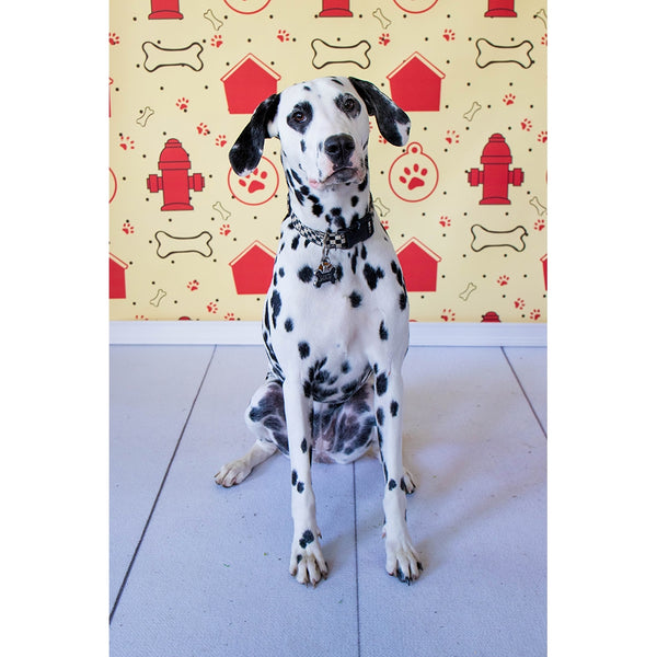 Dog House Patterned Printed Backdrop