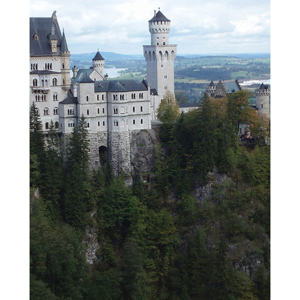 Neuschwanstein Castle Scenic Backdrop