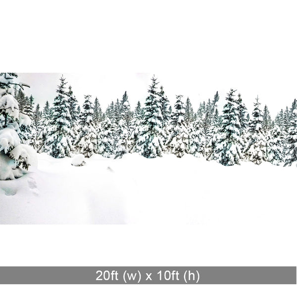 Winter Wonderland Scenic Printed Backdrop