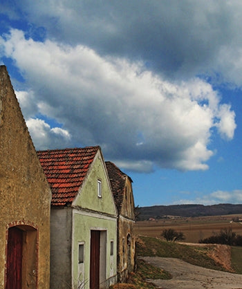 European Houses Scenic Backdrop