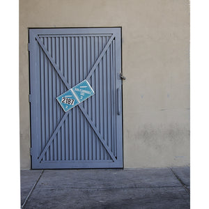 Fire Room Steel Door Printed Backdrop