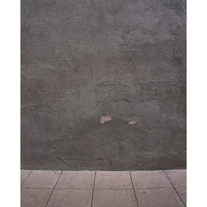 Painted Cement Backdrop