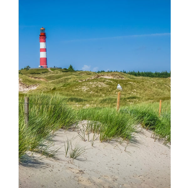 Light House Printed Backdrop