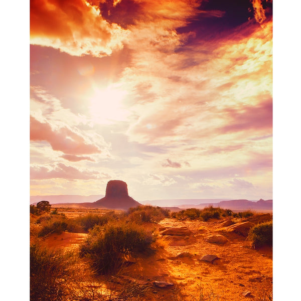 Desert Sky Printed Backdrop