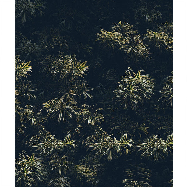 Dark Flora Wall Printed Backdrop