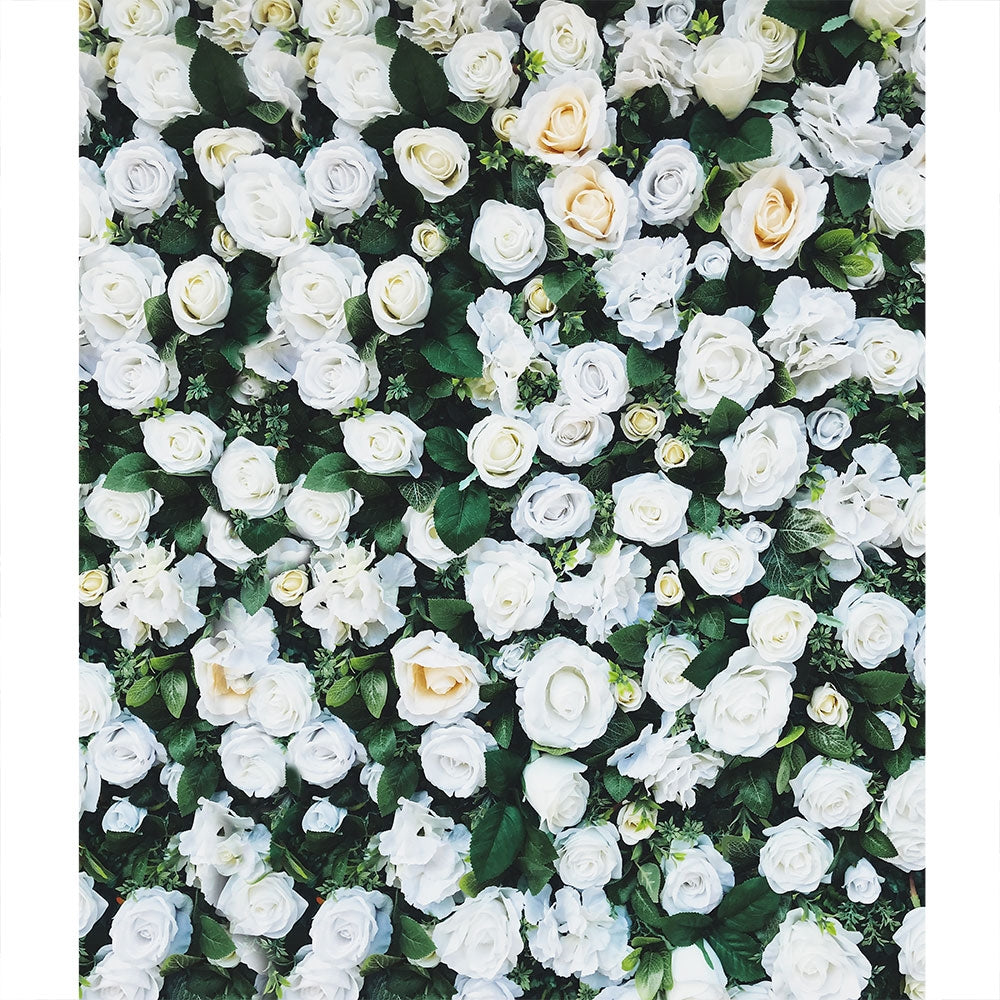 Large White Rose Wall Printed Backdrop | Backdrop Express Large White Rose  Wall Printed Backdrop | Backdrop Express, image size:1000x1000