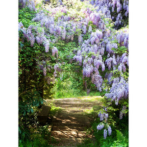 Wisteria Path Printed Backdrop