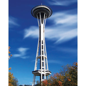 Space Needle Scenic Backdrop