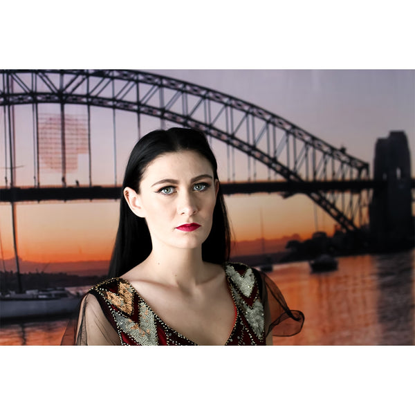 Sydney Harbour Bridge Scenic Printed Backdrop