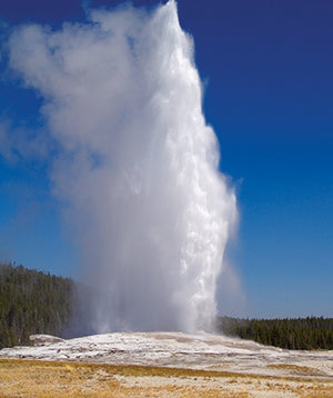 Old Faithful Scenic Backdrop