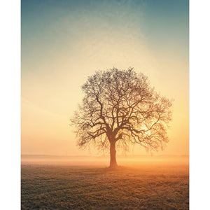 Foggy Sunrise Printed Backdrop