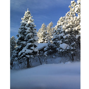 Winter Sunset Printed Backdrop