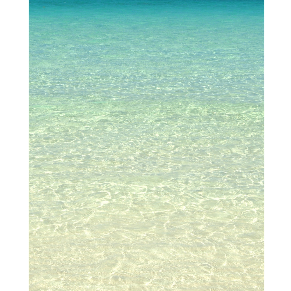 Shallow Shoreline Printed Backdrop | Backdrop Express Shallow Shoreline ...