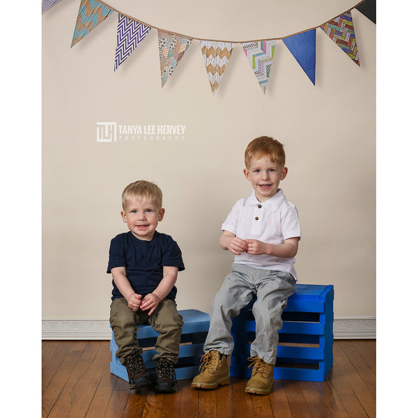 Chevron Bunting on Cream Printed Backdrop